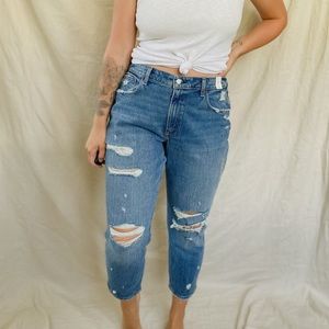 Abercrombie & Fitch curve love high rise mom jean